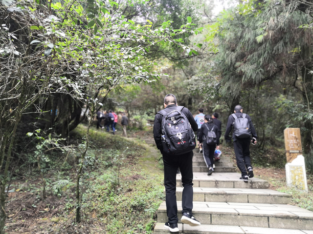 المراكز الثقافية