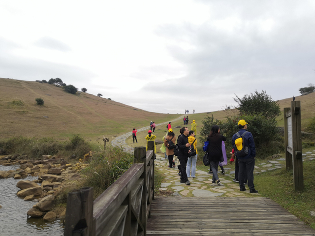 المراكز الثقافية