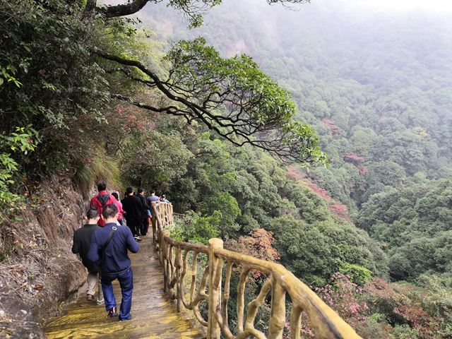 المراكز الثقافية