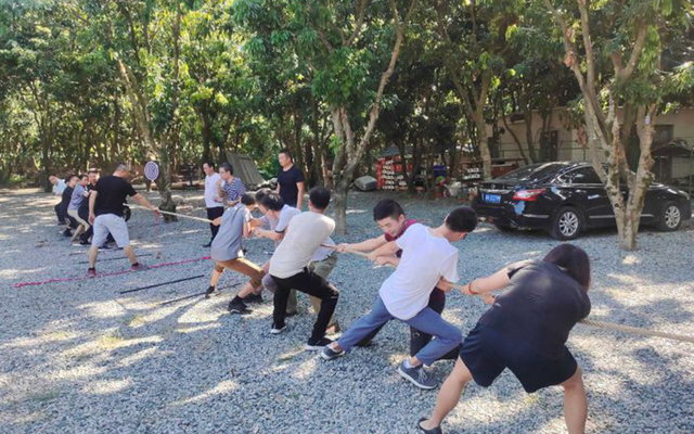 المراكز الثقافية