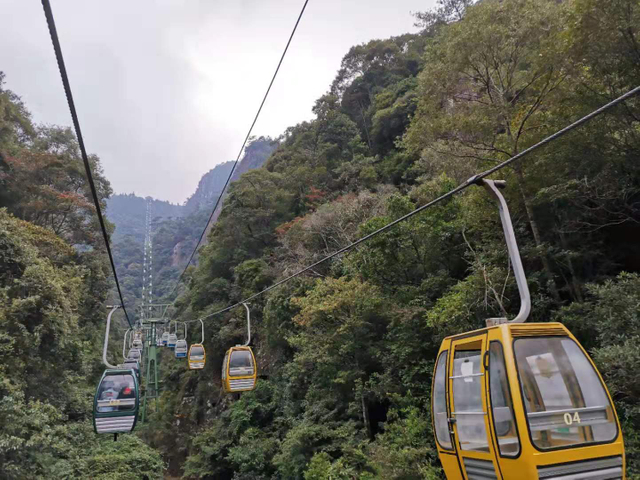 المراكز الثقافية