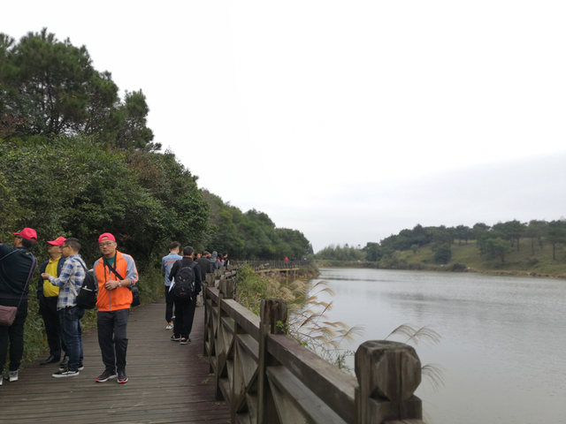 المراكز الثقافية